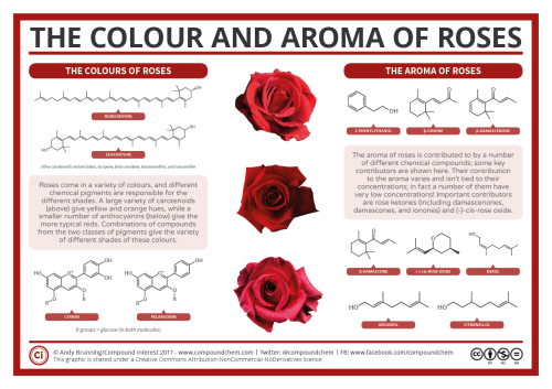 the-chemistry-of-roses